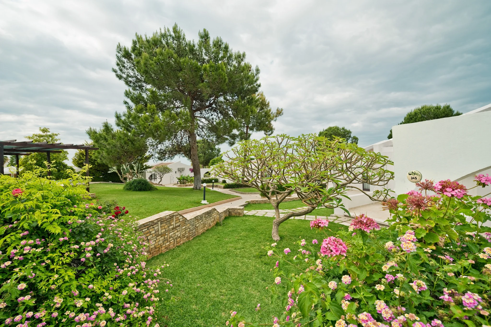 Pine trees and flowering gardens